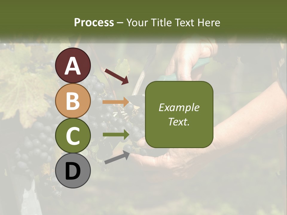 Beach Elderly Wave PowerPoint Template