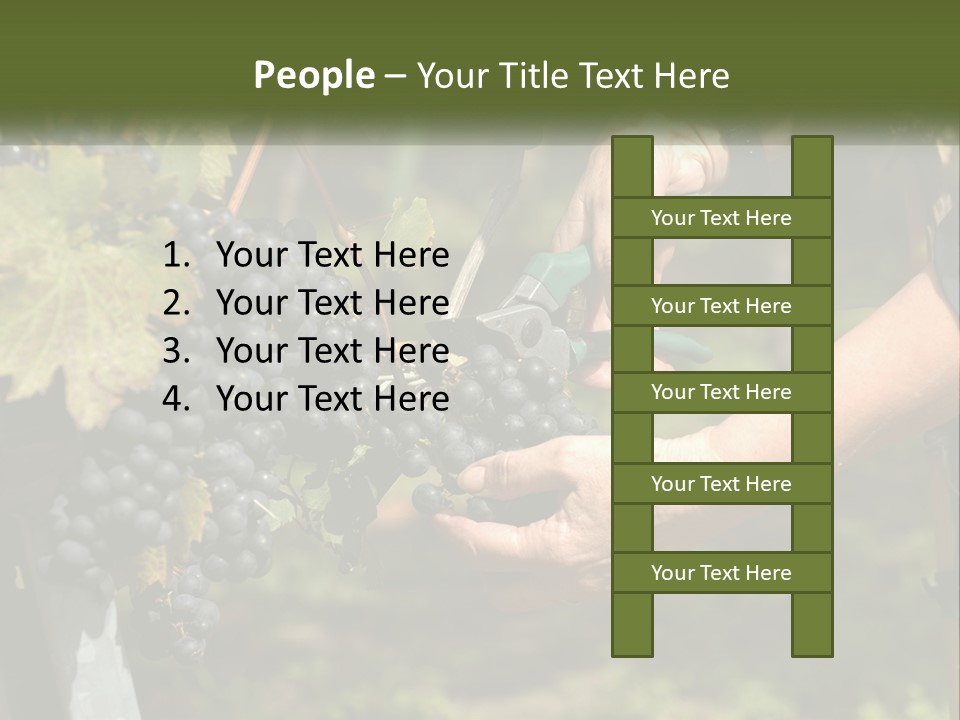 Beach Elderly Wave PowerPoint Template