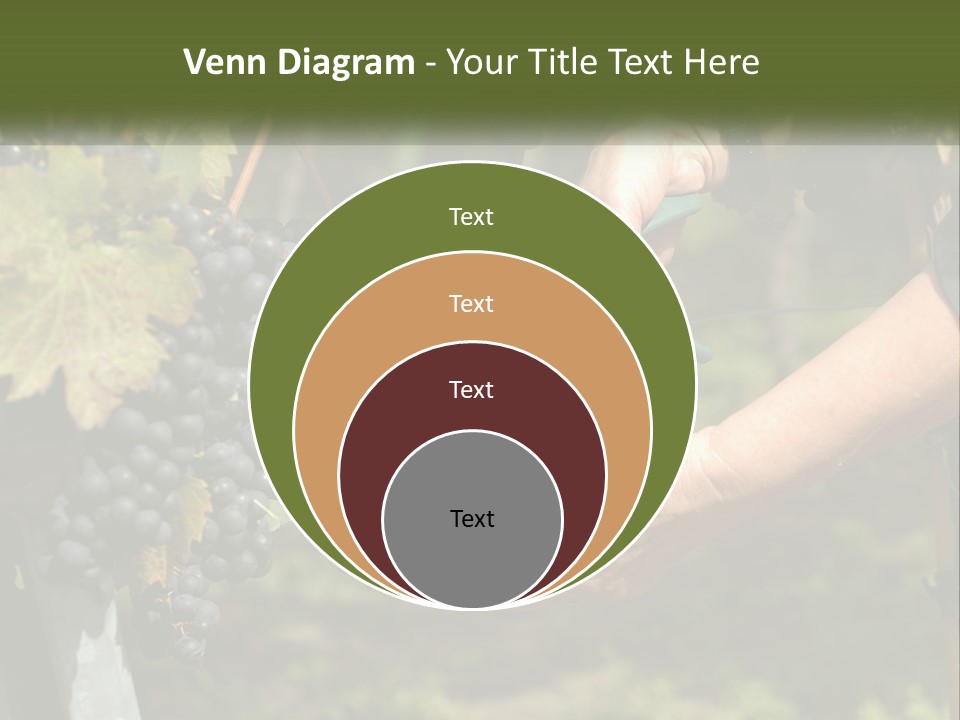 Beach Elderly Wave PowerPoint Template