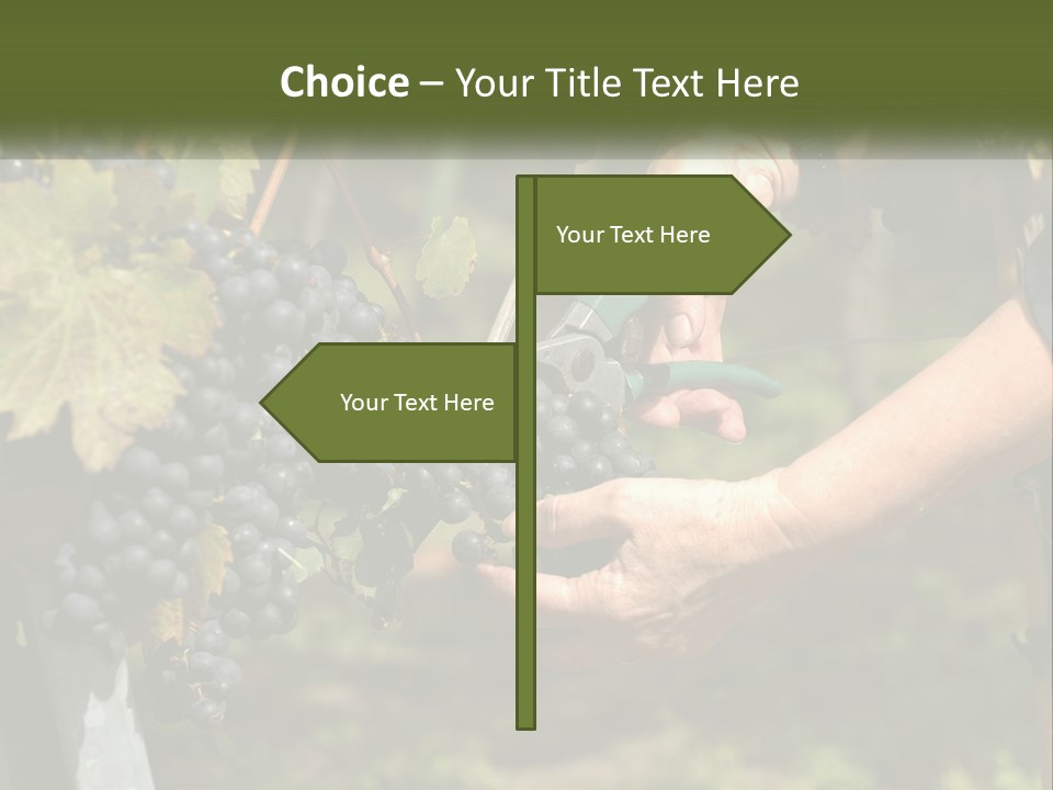 Beach Elderly Wave PowerPoint Template