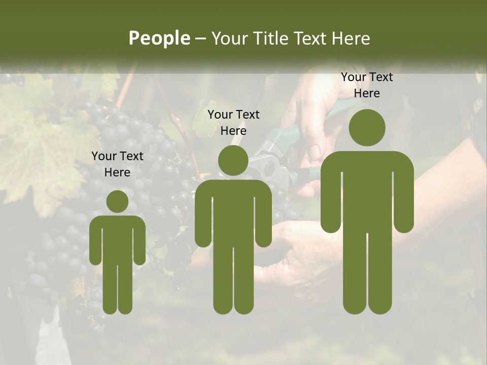 Beach Elderly Wave PowerPoint Template