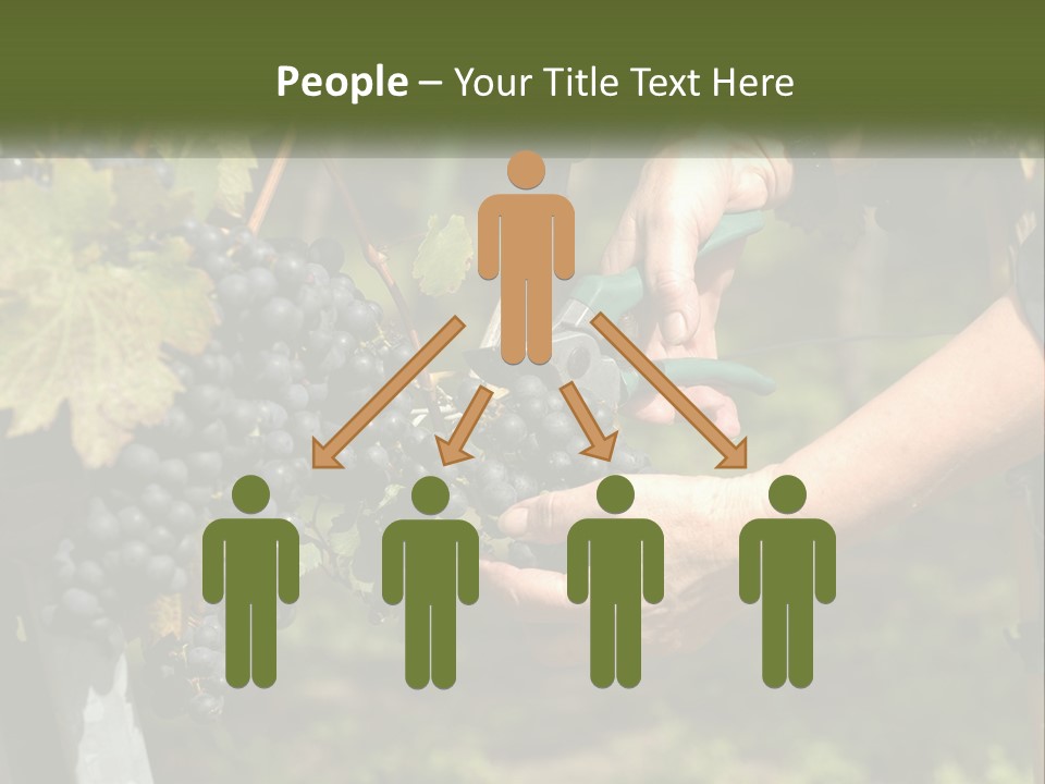 Beach Elderly Wave PowerPoint Template