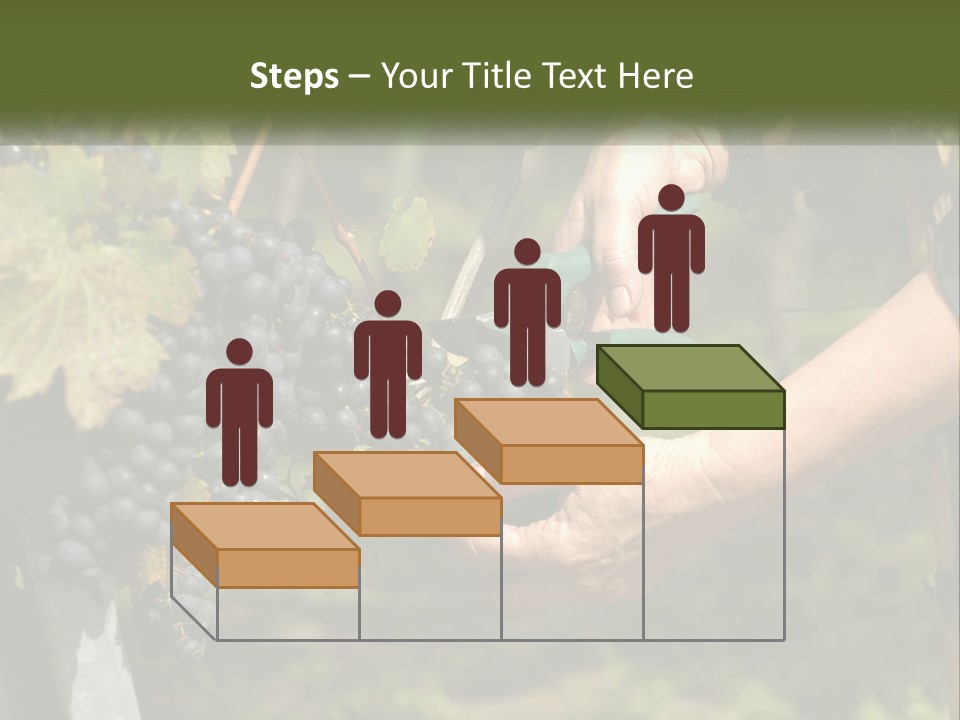 Beach Elderly Wave PowerPoint Template