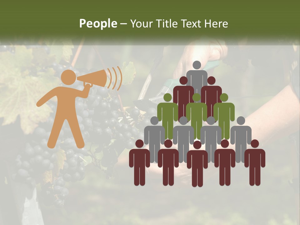 Beach Elderly Wave PowerPoint Template