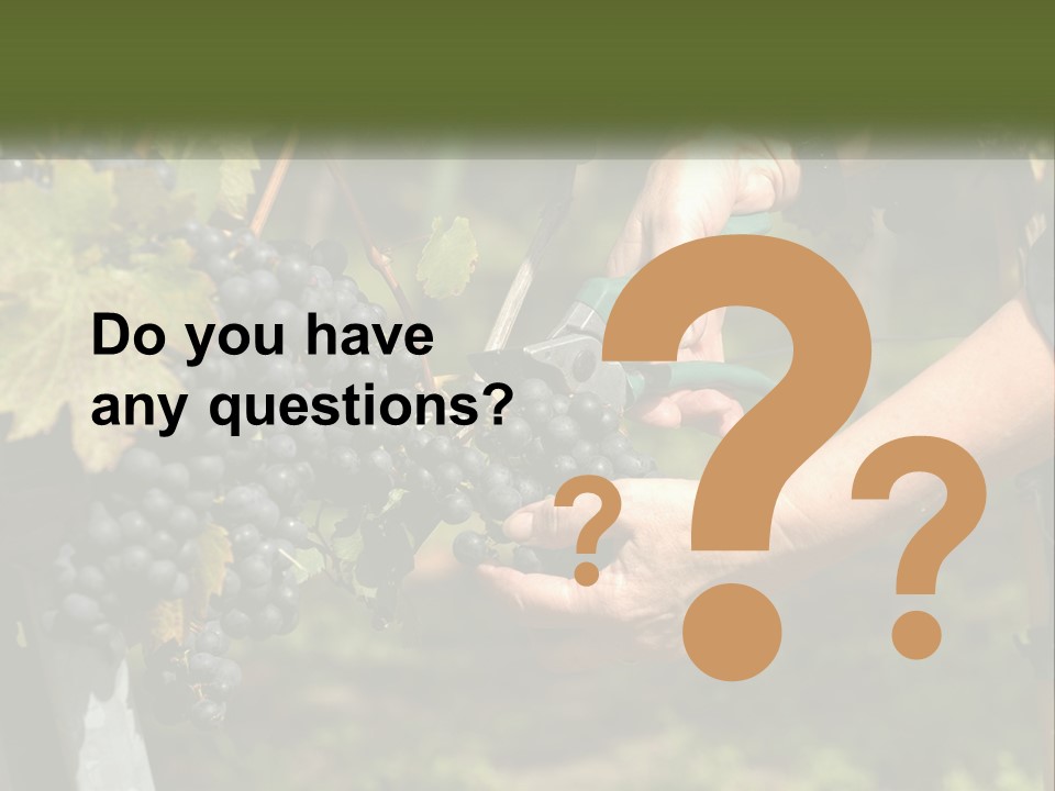 Beach Elderly Wave PowerPoint Template