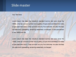Ocean Coast White PowerPoint Template