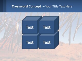Ocean Coast White PowerPoint Template