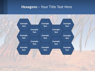 Ocean Coast White PowerPoint Template