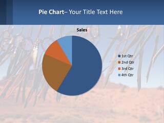 Ocean Coast White PowerPoint Template