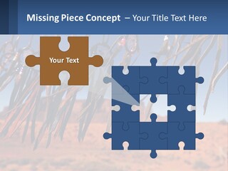 Ocean Coast White PowerPoint Template