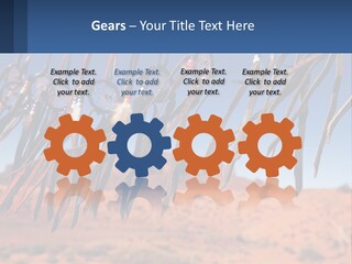 Ocean Coast White PowerPoint Template