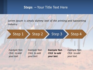 Ocean Coast White PowerPoint Template