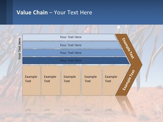 Ocean Coast White PowerPoint Template