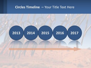 Ocean Coast White PowerPoint Template