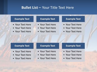 Ocean Coast White PowerPoint Template