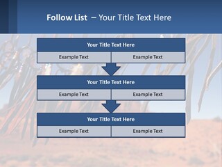 Ocean Coast White PowerPoint Template