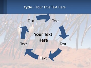 Ocean Coast White PowerPoint Template