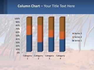 Ocean Coast White PowerPoint Template