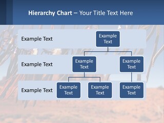 Ocean Coast White PowerPoint Template