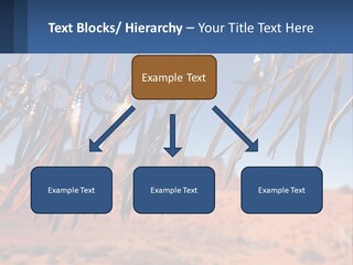Ocean Coast White PowerPoint Template