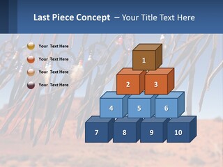 Ocean Coast White PowerPoint Template