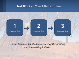Ocean Coast White PowerPoint Template