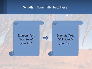 Ocean Coast White PowerPoint Template
