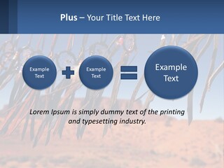 Ocean Coast White PowerPoint Template