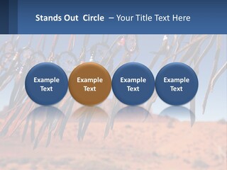 Ocean Coast White PowerPoint Template