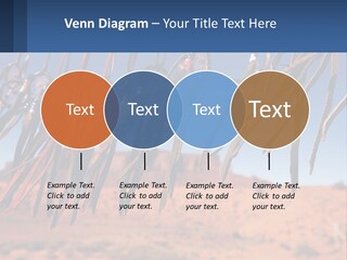 Ocean Coast White PowerPoint Template