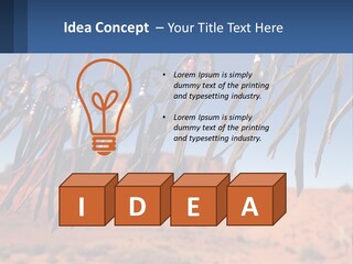 Ocean Coast White PowerPoint Template