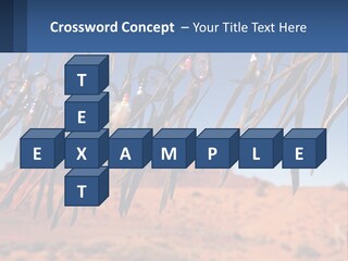 Ocean Coast White PowerPoint Template