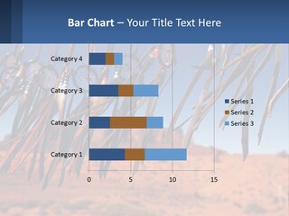 Ocean Coast White PowerPoint Template