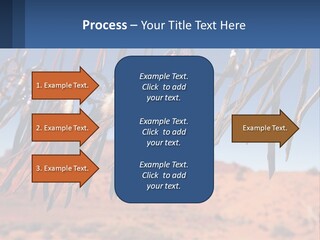Ocean Coast White PowerPoint Template