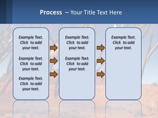 Ocean Coast White PowerPoint Template