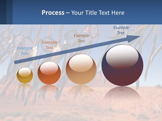 Ocean Coast White PowerPoint Template