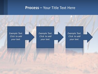 Ocean Coast White PowerPoint Template