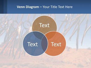 Ocean Coast White PowerPoint Template