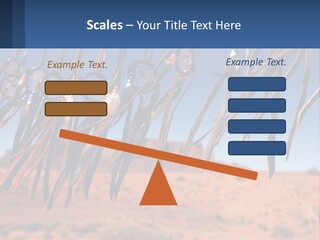 Ocean Coast White PowerPoint Template