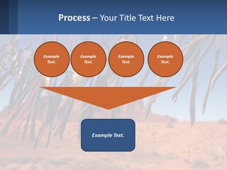 Ocean Coast White PowerPoint Template