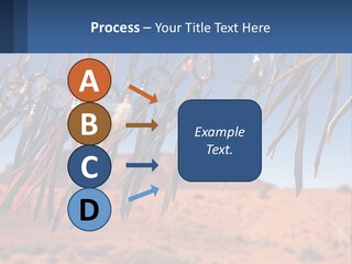 Ocean Coast White PowerPoint Template