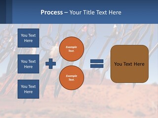 Ocean Coast White PowerPoint Template
