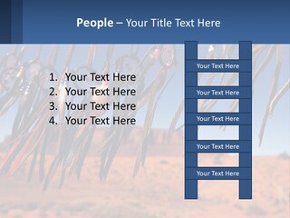 Ocean Coast White PowerPoint Template