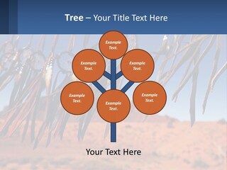 Ocean Coast White PowerPoint Template