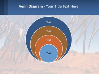Ocean Coast White PowerPoint Template