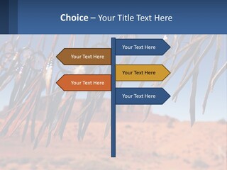 Ocean Coast White PowerPoint Template