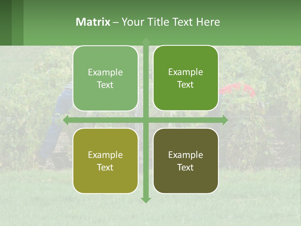 Parent Life Portrait PowerPoint Template