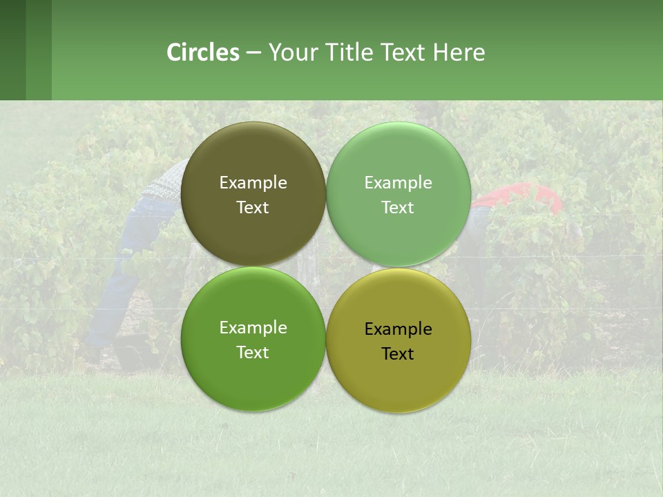 Parent Life Portrait PowerPoint Template