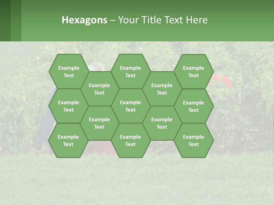 Parent Life Portrait PowerPoint Template