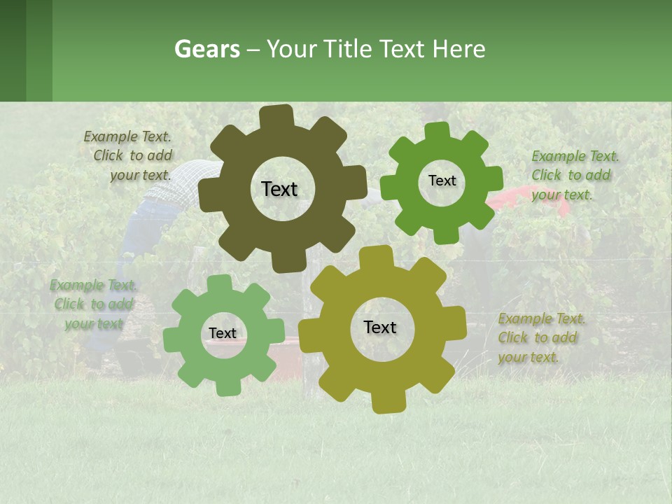 Parent Life Portrait PowerPoint Template